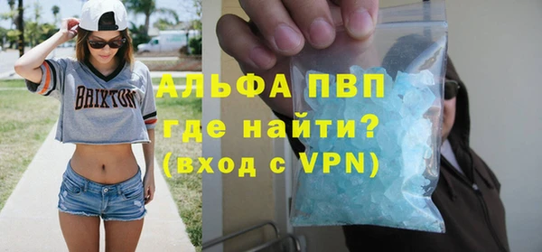 стаф Абинск