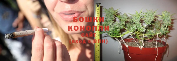 мдпв Рославль