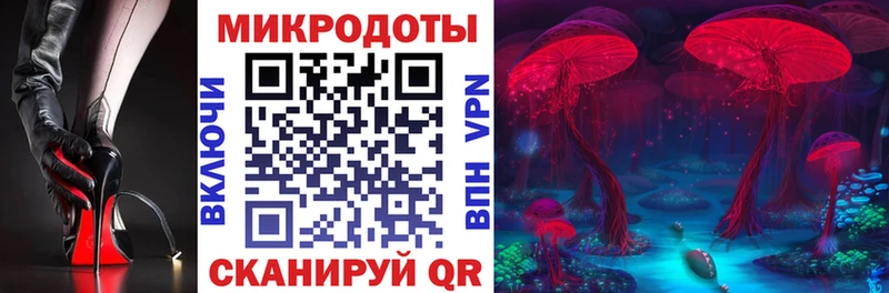 что такое   KRAKEN ССЫЛКА  Псилоцибиновые грибы MAGIC MUSHROOMS  Кингисепп 