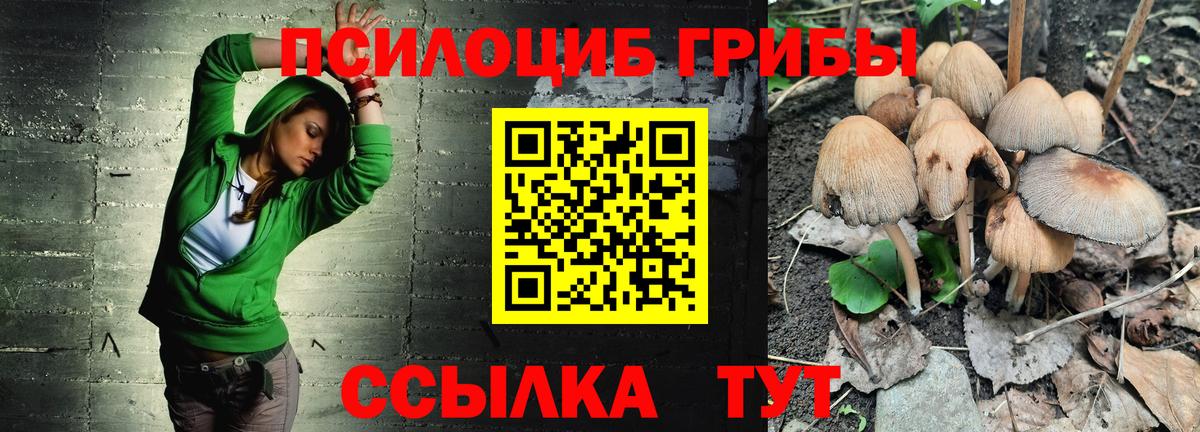 Галлюциногенные грибы MAGIC MUSHROOMS Кингисепп
