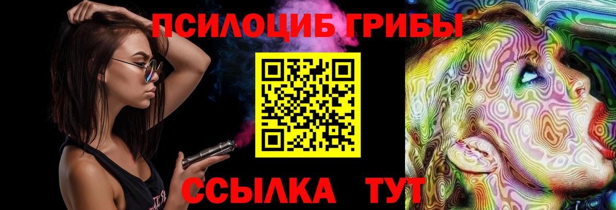 Псилоцибиновые грибы мицелий  Вход с VPN  Кингисепп 